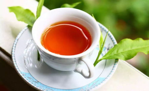 “四季春茶对健康有哪些具体功效和作用