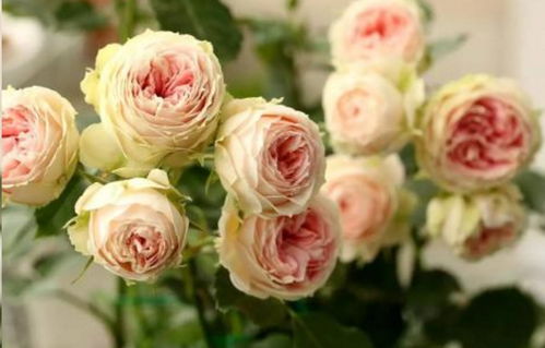 种植季节，你选对了吗？