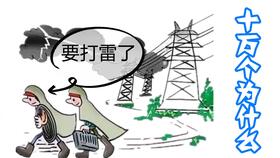 日葵朝着太阳，它为何如此执着
