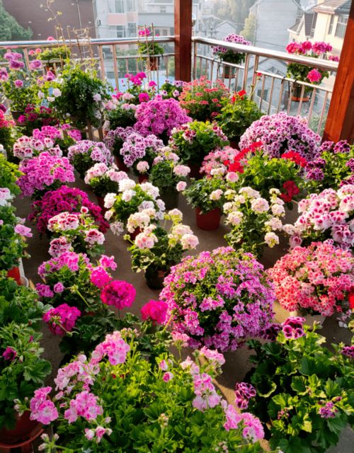 新手常见疑问：为什么我的种子不发芽？