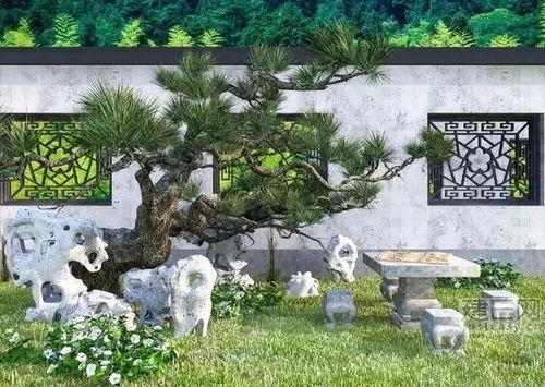 蓝花楹养殖需要注意哪些事项，才能在庭院中打造出美丽的景观呢