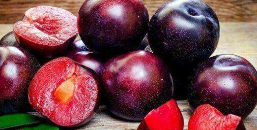 李子熟了 心里痒痒的