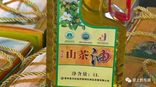 天柱县优质山茶油树苗推荐，电话咨询火热进行中！