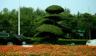 段落二：那片花花世界，叫什么名字？