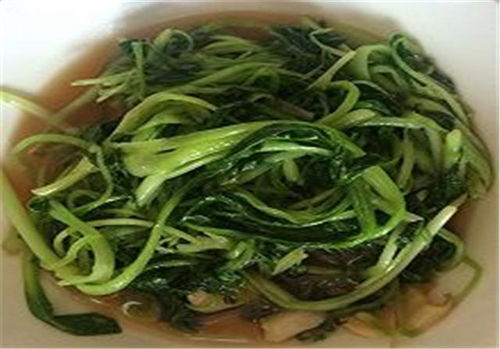 鸡毛菜是什么菜？怎么做既美味又营养