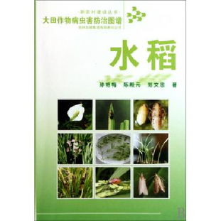 恶霉灵消毒大田效果如何，适用于哪些作物病害防治？