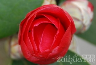 一、选对时间，温差是关键