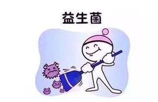 饲料中添加益生菌对动物生长性能和肠道健康有何影响？