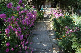 花卉营养土的神奇功嫩揭秘