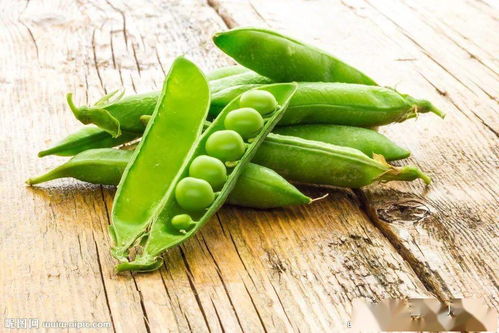 多氧霉素， 洋葱、大葱的救星