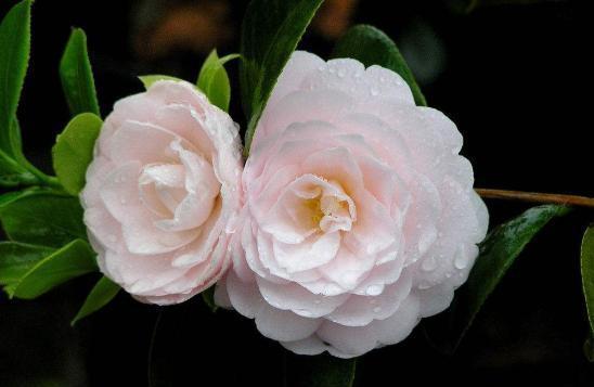 干燥季节， 要忒别注意