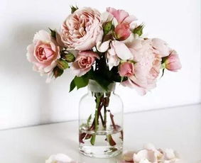 花卉喷泡：男款与女款的大揭秘