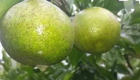 省钱秘籍：如何省药又高效