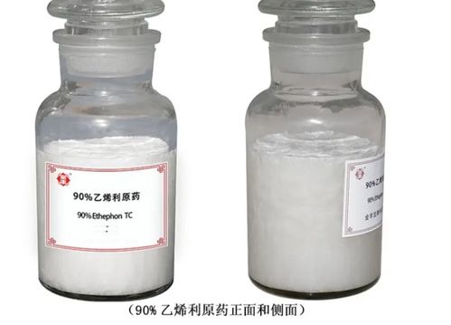 甲维盐悬浮剂：神奇效果还是夸大宣传？