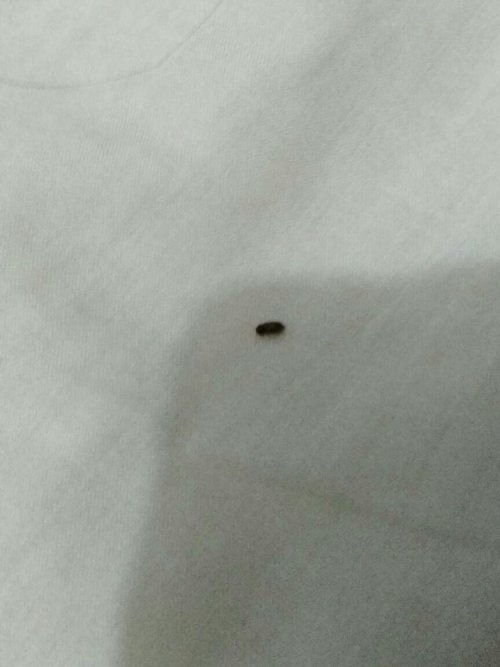 怎么清除这些小东西