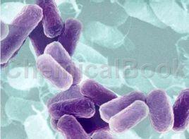 1. 潜在的有害物质