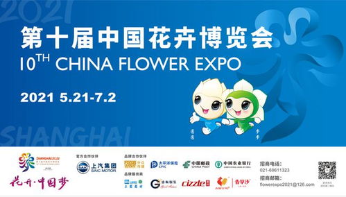 农药使用技术指导：自媒体关注名单揭秘