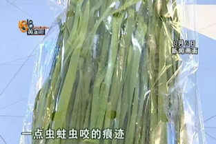 防范病害：定期检查， 注意环境