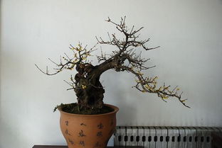 室内室外温度要适宜