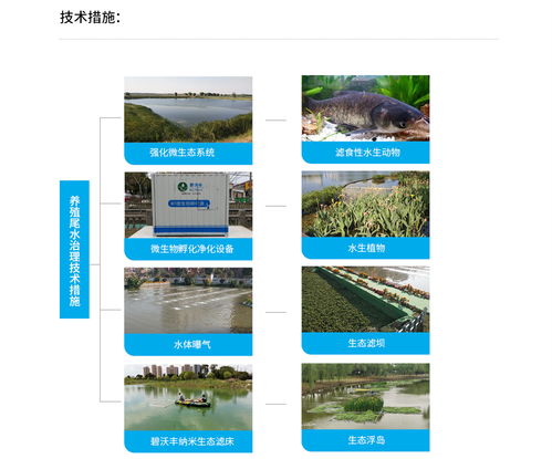如何通过环境调控与管理技巧，优化白茶养殖生长环境