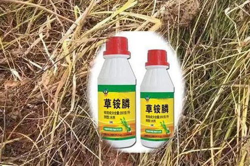 水源受侵， 生态失衡