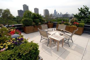 黑白花架， 绿色植物