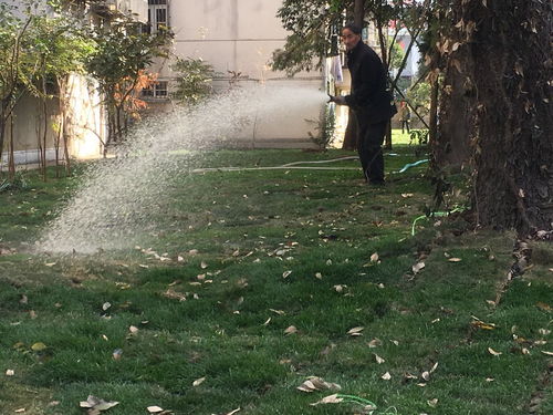 实测数据， 告诉你真相