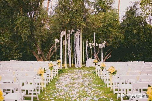 ▍为什么你种的草活不过雨季？