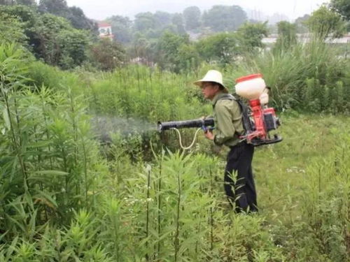 农药：朋友还是敌人？