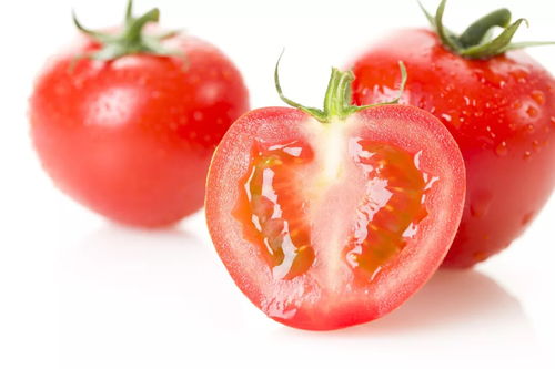 西红柿种植时间是什么时候？老农教你种出好柿子
