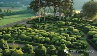 在花园里种点什么 成就感满满