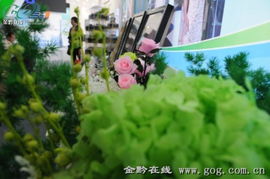 花溪园种花基地， 园艺爱好者的天堂