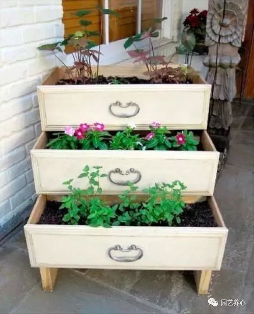 盆花栽培的辅助材料