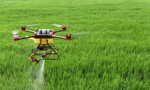 如何合理使用复合肥？