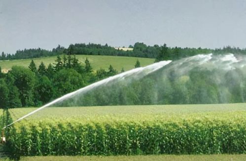 揭秘农业三大水循环：灌溉、排水与蓄水关键步骤
