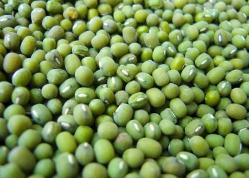 绿豆贮藏五法：探讨绿豆在储存过程中防止霉变、发芽的方法