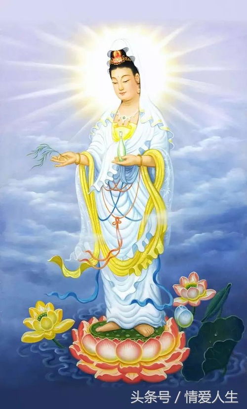 “观音花，晶莹剔透