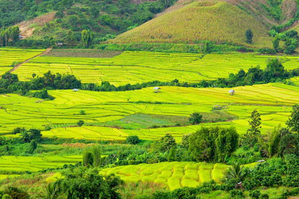 泰国各个区域的气候类型各异