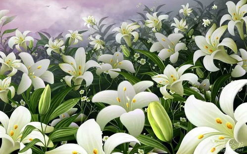 百合花细高之谜，生长习性有何独特