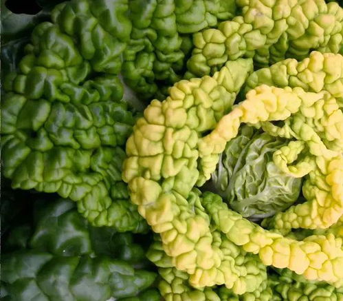 二、重要的事说三遍