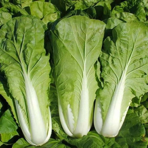 保存要玩温度游戏， 老姜的冷库数据揭秘