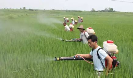 农药挥发， 关注细节