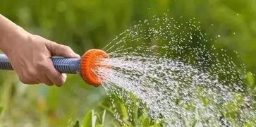 真相是：雨后3天内千万别浇水