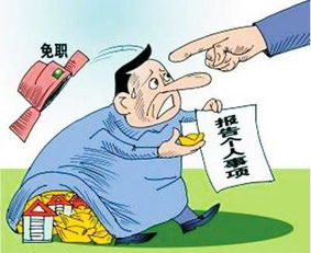 自配全价猪饲料有哪些潜在风险和注意事项？