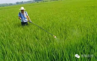 农药和细菌Neng混用吗？