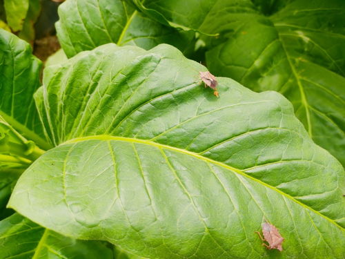 防范措施，从源头开始