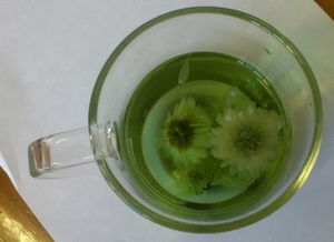 菊花茶泡成绿色是怎么回事？还能不能喝