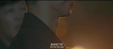 黑玫瑰的神秘寓意究竟隐藏着怎样的魅力