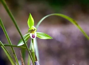 喷施方法，细节决定成败