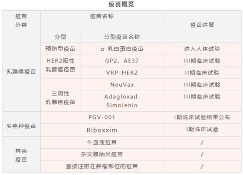 预算内的二年生草本花卉选择攻略